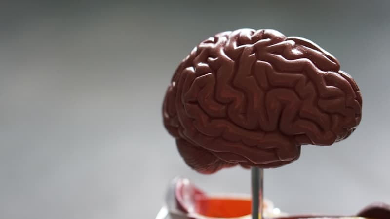 Enhanced Nerve Function