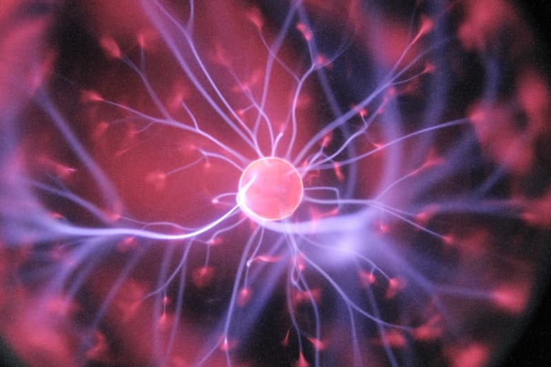 Nerve Regeneration