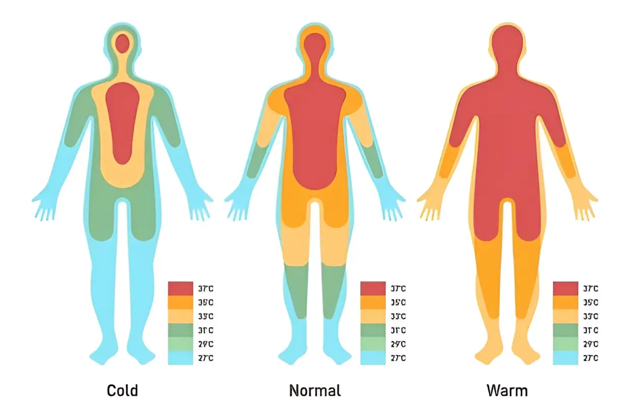 THE IMPORTANCE OF HEAT THERAPY FOR CORE BODY TEMPERATURE