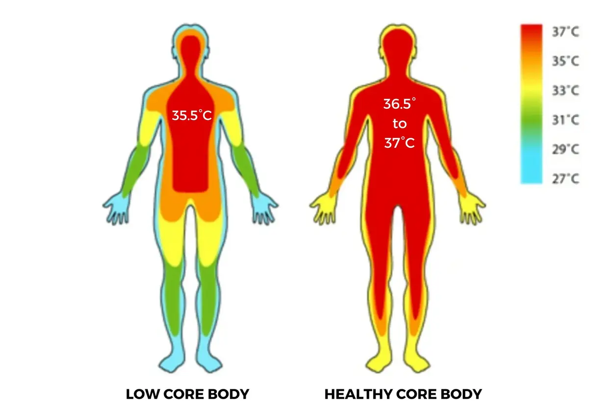 HOW CORE BODY TEMPERATURE AFFECTS IMMUNE FUNCTION